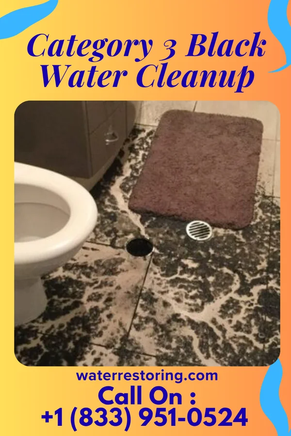 Category 3 Black Water Cleanup in Keachi, LA