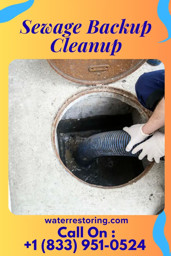 Sewage Backup Cleanup in Keachi, LA