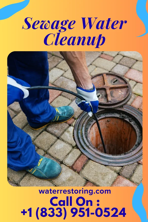 Sewage Water Cleanup in Keachi, LA