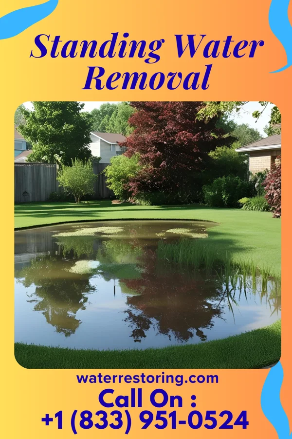 Standing Water Removal in Keachi, LA